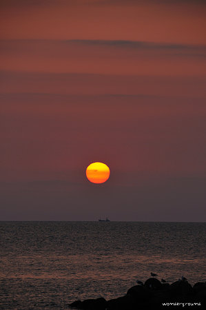_DSC2728tjj