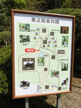 CIMG3862