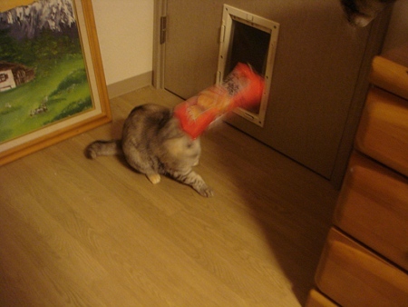 DSC04431