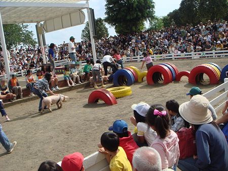 DSC05004