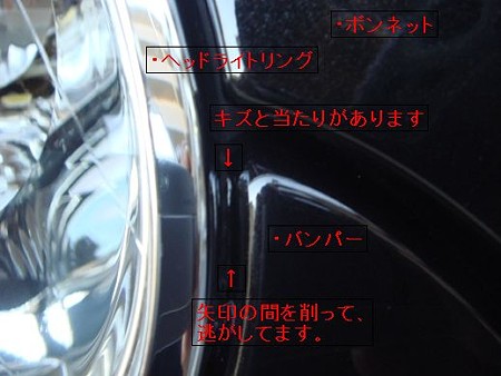 DSC01259
