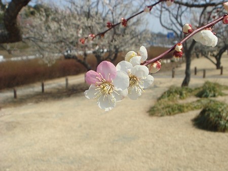 DSC02200