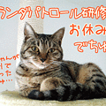090116-【猫アニメ】きょうのベランダパトロールにゃ！