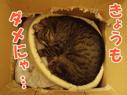 090416-【猫アニメ】きょうも寝て待つにゃ～