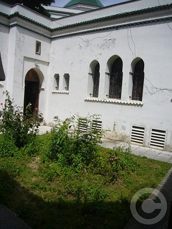 P1600330