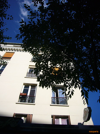 P1600874_marked