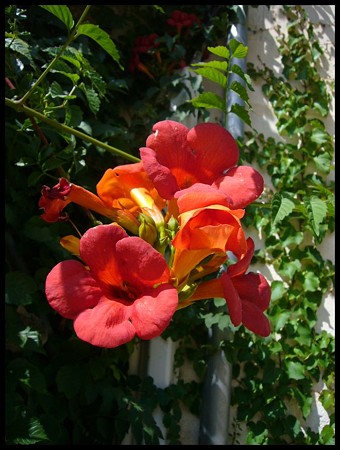 P1670841