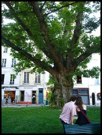 P1700005