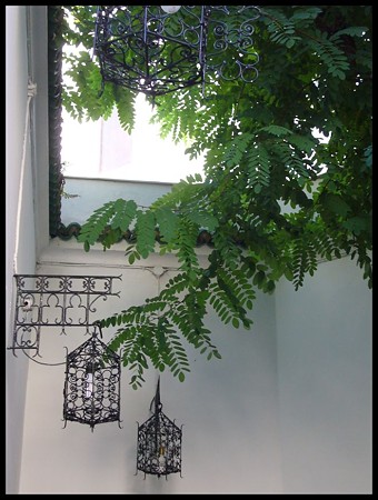 P1720051