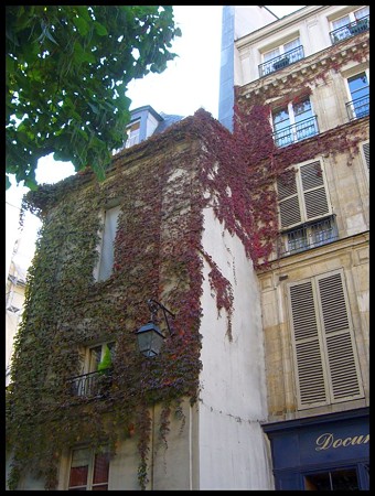 P1740668