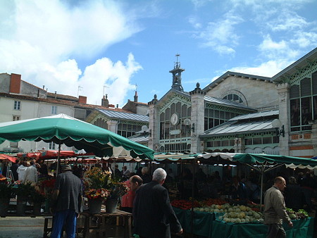 DSCF0667