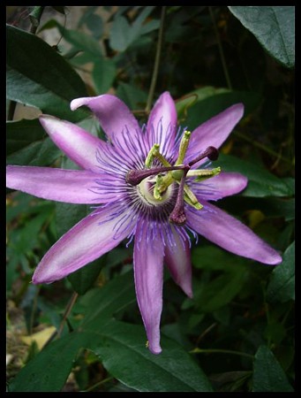 P1580883