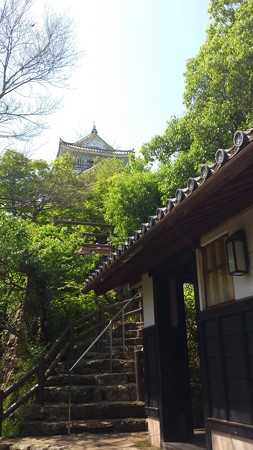 14051313_岐阜城