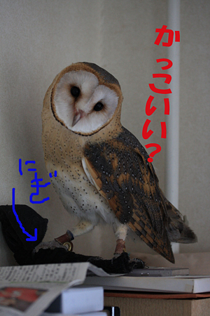 mame H21.5.1