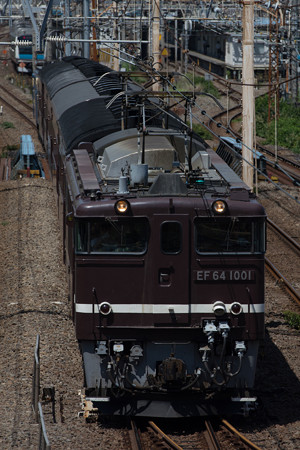 DSC_2009