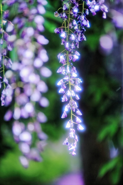 Photos: 14