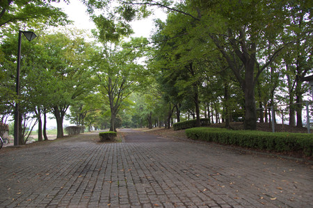 緑道