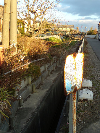 狭くなった入鹿用水と注意看板