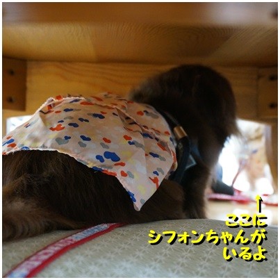 2014052805
