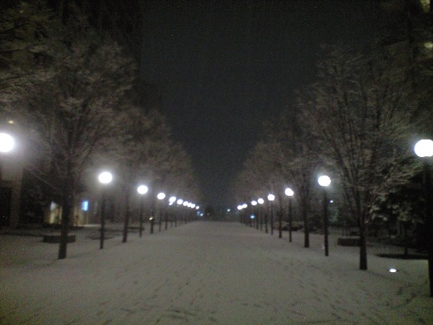 東京の雪の夜 写真共有サイト フォト蔵