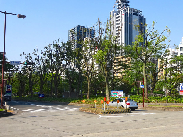 葉っぱが少ない 久屋大通公園ロサンゼルス広場の木々 写真共有サイト フォト蔵