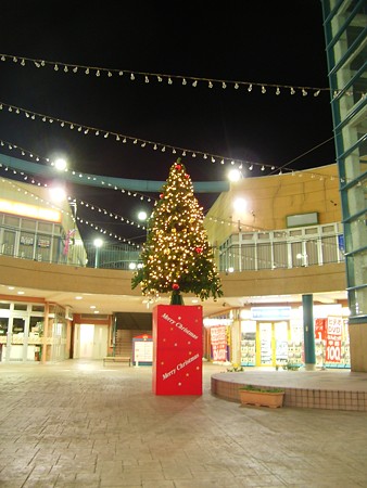ピエスタのクリスマスツリー_城山1
