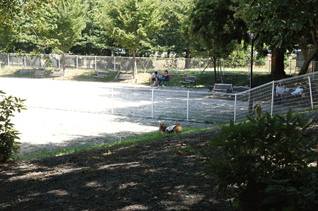 DSC01251