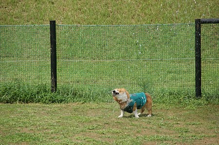 DSC01751