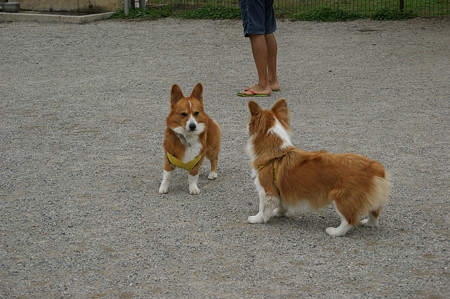 DSC02714