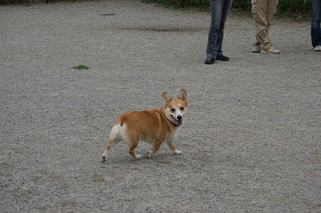 DSC02794