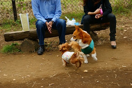 DSC03397