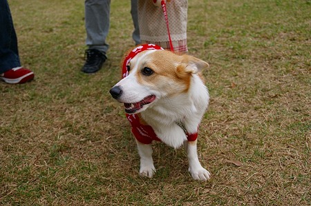 DSC04076