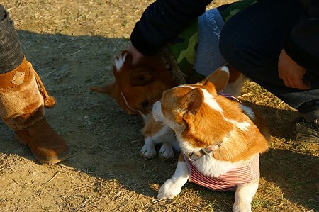 DSC05896
