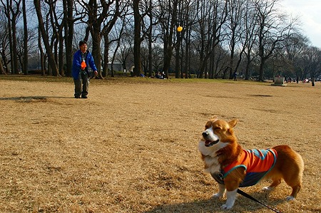 DSC06064
