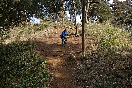 DSC06865