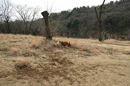 DSC06900
