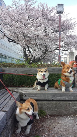 20140405_144351