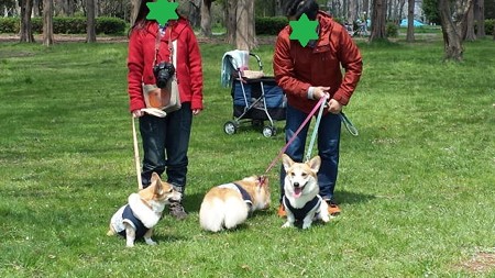 20140406_112410