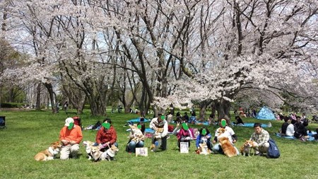 20140406_112947
