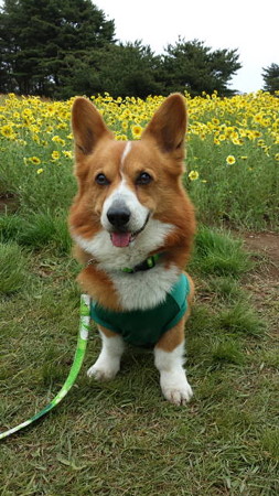 20140506_122937
