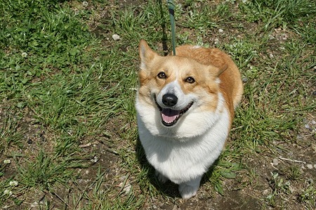 DSC07722