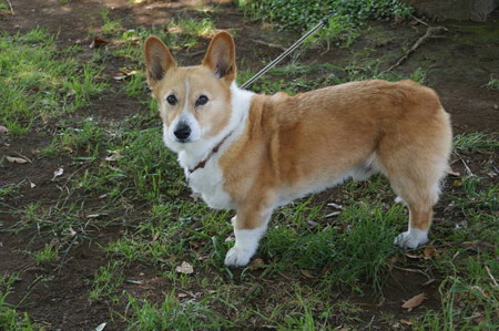 DSC03452