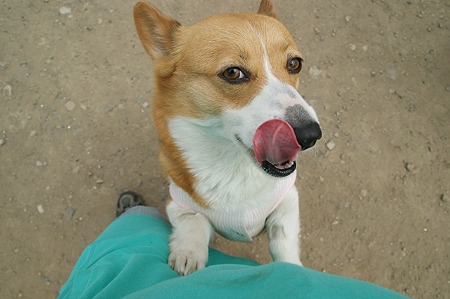 DSC07906