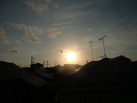 CIMG5788