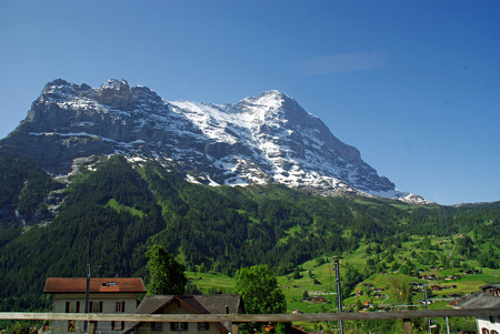 IMGP7887