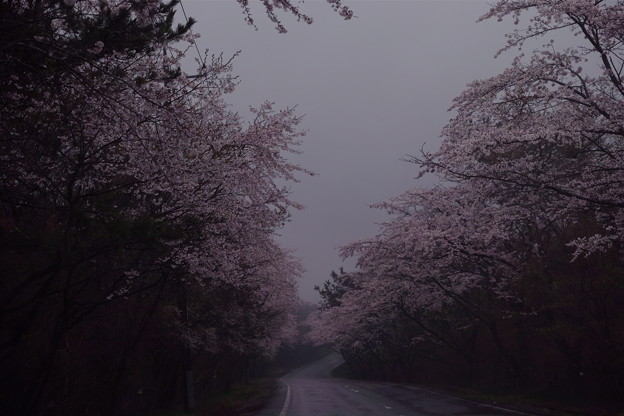 SDIM0561