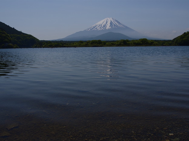 _5241679