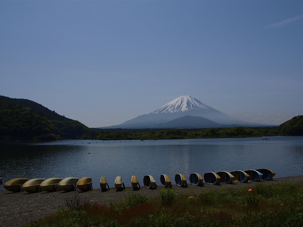 _5241684