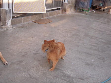 DSCN4112