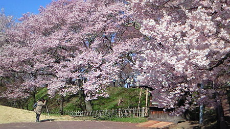200904090841000